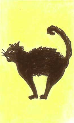 O gato negro