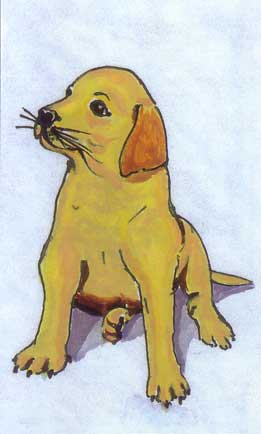 O cão