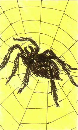A aranha