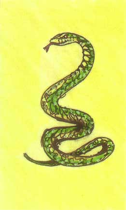 A serpente